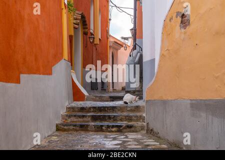 Typische schmale Straße und bunte Häuser in der Stadt Positano, Amalfi Küste Stockfoto