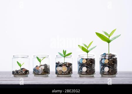 Baum und Baumkastel Aufwachsen frome Münzen Geld in Glas Glas auf Holztisch, Erhöhung und sparen Finanzkonzept Stockfoto