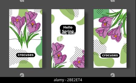 Hallo Frühling Social Media Geschichten, Vorlagen. Crocuses Blume Vektor gesetzt. Social Media Vorlagen für Beiträge Stock Vektor