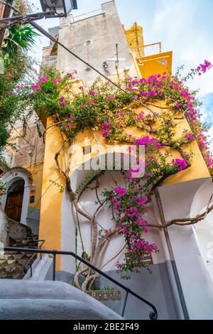 Typische schmale Straße und bunte Häuser in der Stadt Positano, Amalfi Küste Stockfoto