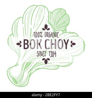 Bok Choy oder pak Choi chinesischen Kohl Emblem Stock Vektor