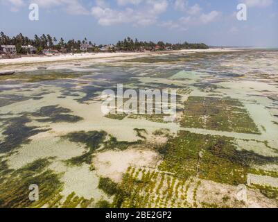 Luftaufnahme der Unterwasserseegrasmeerplantage. Jambiani, Sansibar, Tansania. Stockfoto