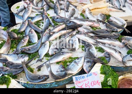 Kleine Fische auf Eis zum Verkauf auf einem Markt Stockfoto