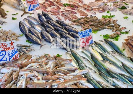 Auf einem Markt werden frischer Fisch und Meeresfrüchte angeboten Stockfoto