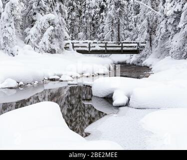 Hölzerne Fußbrücke über einen Bach, der im Winter in den Emerald Lake führt, Yoho National Park, Canadian Rockies, British Columbia, Kanada