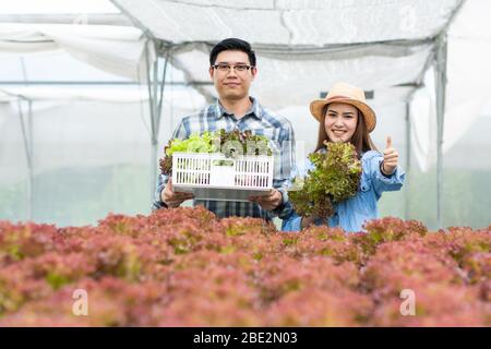 Bauer Mann und Frau halten hydroponic in Bauernhof Stockfoto