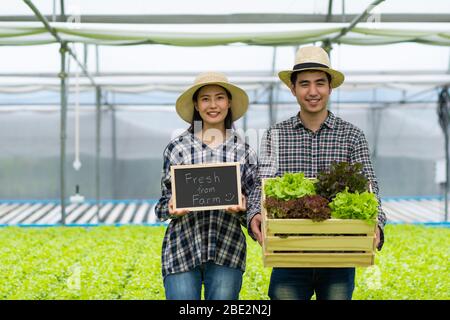 Liebhaber Paar Bio hydroponic Besitzer, Frau und asiatische Mann mit kleinen Tafel mit Wort frisch aus dem Bauernhof mit Gemüse-Box, Butter Kopf Lettuc Stockfoto