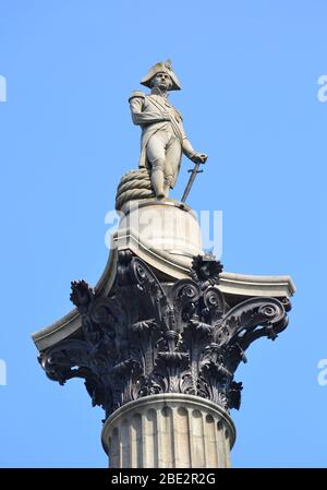 Statue von Admiral Nelson auf dem Trafalgar Square in London, Großbritannien. Stockfoto