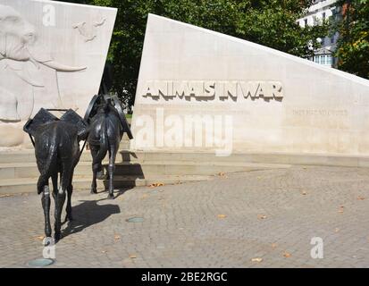 London, Großbritannien - 29. August 2019: Das Tierdenkmal im Krieg in der Park Lane, London Stockfoto