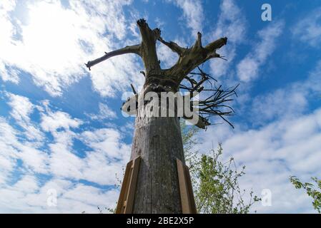 Gipfelfigur am Wanderweg in Mittelgebirgen Deutschlands Stockfoto