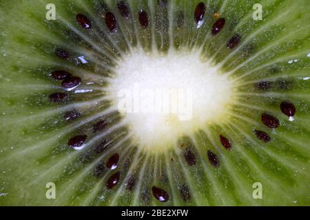 Ein fantastisches Stillleben Studio Detail Nahaufnahme Foto von einem frischen leckeren geschnittenen Kiwi Obst, topview Stockfoto