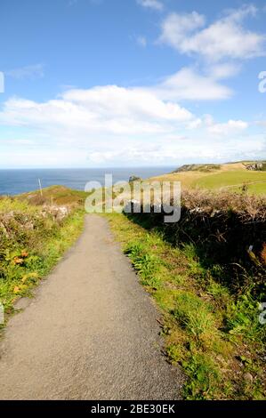 Küstenweg von Tintagel in Nord-Cornwall Stockfoto