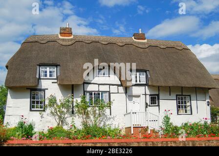 Reetgedeckte Hütte, nr Botley, Buckinghamshire, England, Vereinigtes Königreich Stockfoto