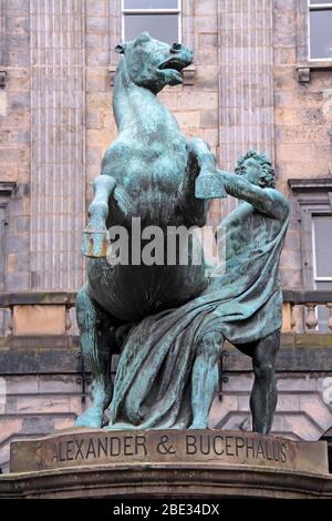 Edinburghs Alexander und Bucephalus Reiterstatue, City Chambers, Royal Mile, Edinburgh, Schottland, UK von John Steell, 1804–1891 Stockfoto