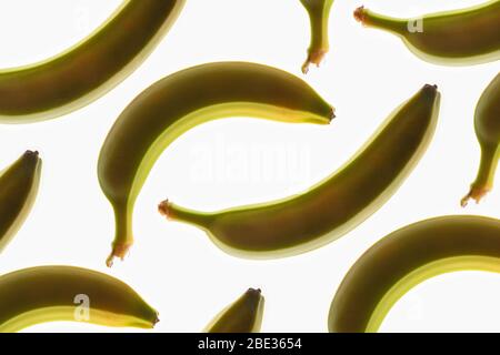 Ein wunderbares Bild von einem interessanten Muster Nahaufnahme von Bananen, vor einem hellen weißen Hintergrund, Flatlay Stockfoto