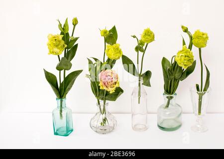 Bouquet von grünen und rosa Frottee lisianthus in einem transparenten runden Vasen und Flaschen auf einem weißen Hintergrund. Brautstrauß Stockfoto