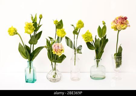 Bouquet von grünen und rosa Frottee lisianthus in einem transparenten runden Vasen und Flaschen auf einem weißen Hintergrund. Brautstrauß Stockfoto