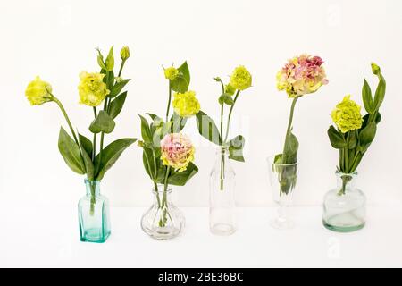 Bouquet von grünen und rosa Frottee lisianthus in einem transparenten runden Vasen und Flaschen auf einem weißen Hintergrund. Brautstrauß Stockfoto