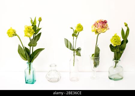 Bouquet von grünen und rosa Frottee lisianthus in einem transparenten runden Vasen und Flaschen auf einem weißen Hintergrund. Brautstrauß Stockfoto