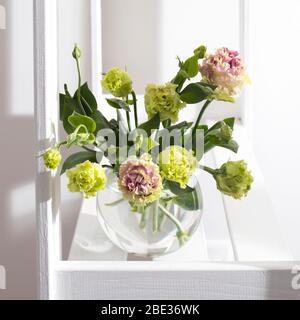 Bouquet von grünen und rosa Terry Lisianthus und Eukalyptus Zweige in einer transparenten runden Vase auf weißem Hintergrund. Brautstrauß Stockfoto