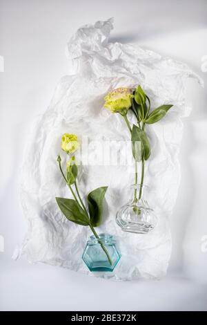 Bouquet von grünen und rosa Terry Lisianthus und Eukalyptus Zweige in einer transparenten runden Vase auf weißem Hintergrund. Brautstrauß Stockfoto