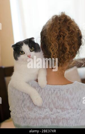 Mädchen, das eine Katze auf der Schulter hält Stockfoto