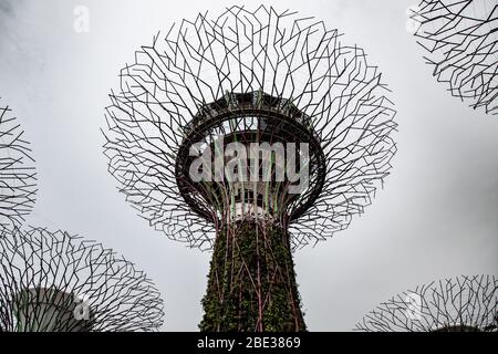 Singapur Supertree Grove, künstliche Bäume an bewölkten Tag - Singapur Supertree Grove, arboles artificiales en un día nublado Stockfoto