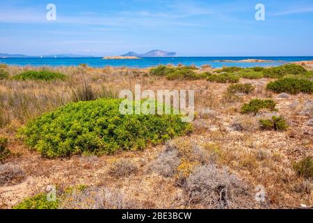 Panoramablick auf die Halbinsel Spalmatore di Terra von Marine Naturschutzgebiet mit mediterranem Gestrüpp der Insel Isola Tavolara auf Tyrrhenischen Meer Stockfoto