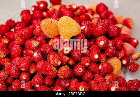 Erdbeere und gelbe Himbeeren in Plastikkorb. Vitamin gesunde Lebensmittel Stockfoto