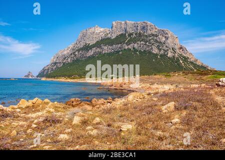 Panoramablick auf die Klippen und Hänge des Hauptkalkmassiv, Monte Cannone Gipfel, der Insel Isola Tavolara auf Tyrrhenischen Meer vor der Küste Sardiniens Stockfoto