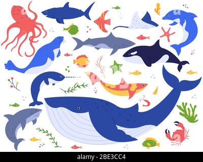 Meerestiere. Niedliche Fische, Orca, Hai und Blauwal, Meerestiere und Meerestiere Illustration Vektor-Set. Unterwasserwelt Pack. Algen, Algen Stock Vektor