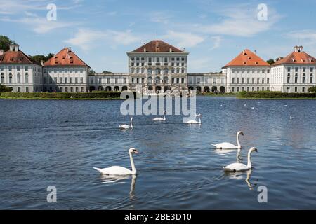 Schwäne überqueren das Wasser vor dem Schloss Nymphenburg, der berühmten Barockresidenz der bayerischen Königsfamilie in München. Stockfoto