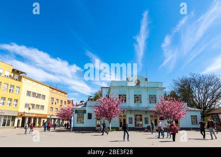 Gebäude des transkarpatischen regionalen akademischen Puppentheaters (auch bekannt als Theater "Bavka") auf dem Teatralna Platz in Uzhhorod, Ukraine Stockfoto