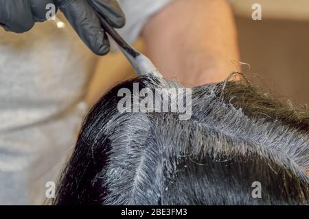 Haarfärbefarbe vom Friseur mit Handschuhen angewendet.At-Home Haarfärbestyling mit festem Niveau der schwarzen Farbe mischen Abdeckung mit Pinsel auf Haarwurzeln Stockfoto