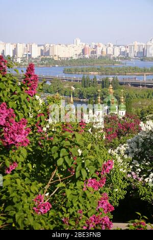 Malerischer Blick auf das Kloster Vydubychi und den Fluss Dnipro mit rosa und weißen Flieder, die im botanischen Garten in Kiew blühen Stockfoto