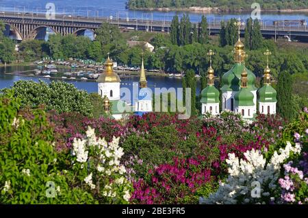 Malerischer Blick auf das Kloster Vydubychi und den Fluss Dnipro mit rosa und weißen Flieder, die im botanischen Garten in Kiew blühen Stockfoto