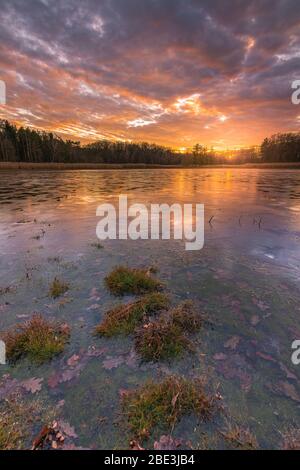 Glühender Sonnenuntergang über dem kleinen See. Stockfoto