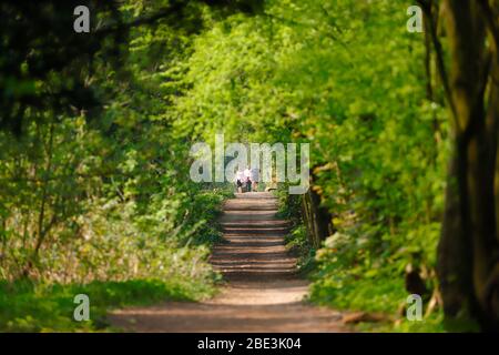 Leute gehen auf der Coach Road in Svillington Stockfoto