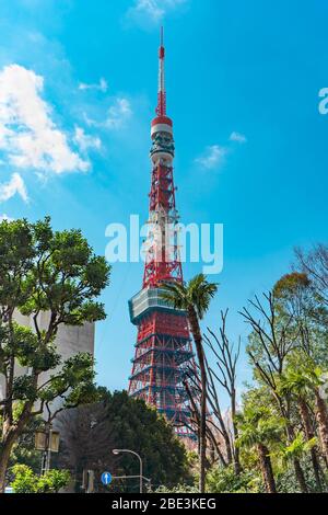 Tokyo Tower hinter den Palmen in der Ichozaka Street ist der höchste Gitterturm in Japan, der vom Eiffelturm inspiriert ist. Stockfoto