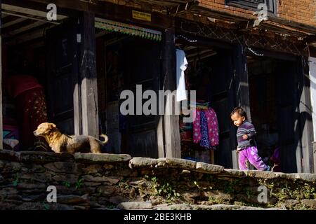 Nepal, Tanahun, Bandipur, Haus; Straße, Gebäude, Dorf, Leute, Kind, Gehen, Spielen, Spiel, Hund Stockfoto