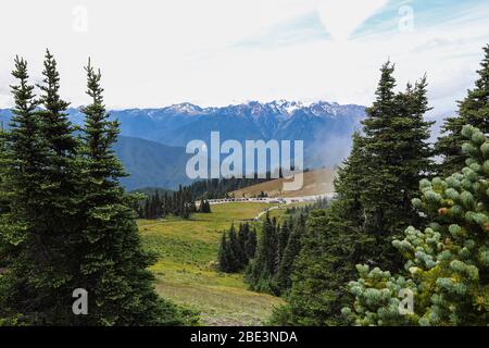 Landschaftlich schöne Aussicht auf die Olympic Mountains vom Wanderweg auf Hurricane Ridge Stockfoto