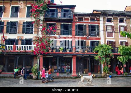 Nepal, Tanahun, Bandipur, Haus, Straße, Leute, Frau, Dorf, Geschäft, Verkäufer, Hund, Mädchen Stockfoto