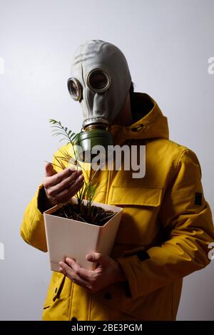 Ein Mann in einer Gasmaske mit einer Blume in der Hand, isoliert auf weißem Hintergrund. Covid-19 Virus Konfrontation Stockfoto