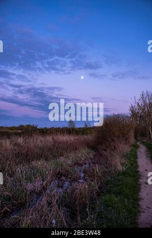 Sonnenuntergang rund um River Green, Thorpe St Andrew, Norwich, Norfolk Stockfoto