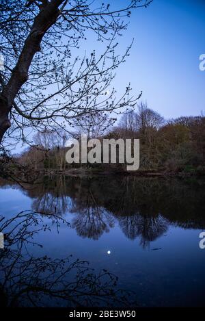 Sonnenuntergang rund um River Green, Thorpe St Andrew, Norwich, Norfolk Stockfoto