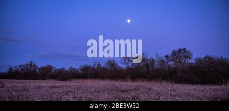 Sonnenuntergang rund um River Green, Thorpe St Andrew, Norwich, Norfolk Stockfoto