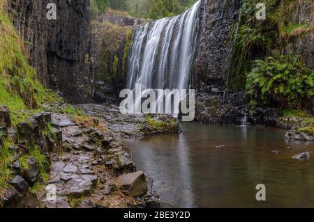 Sehen Sie sich die enge Schlucht an, die zur berühmten Vorhangkaskade an den Guide Falls an der Nordwestküste Tasmaniens führt. Stockfoto