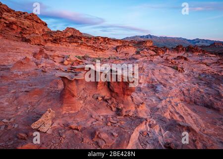 Little Finland in Gold Butte National Monument, Nevada Stockfoto