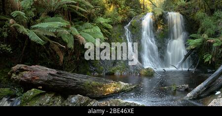Sehen Sie sich die enge Schlucht an, die zur berühmten Vorhangkaskade an den Guide Falls an der Nordwestküste Tasmaniens führt. Stockfoto