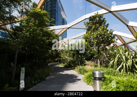 Im Crossrail Place Roof Garden in Canary Wharf in London, England, Großbritannien. Stockfoto